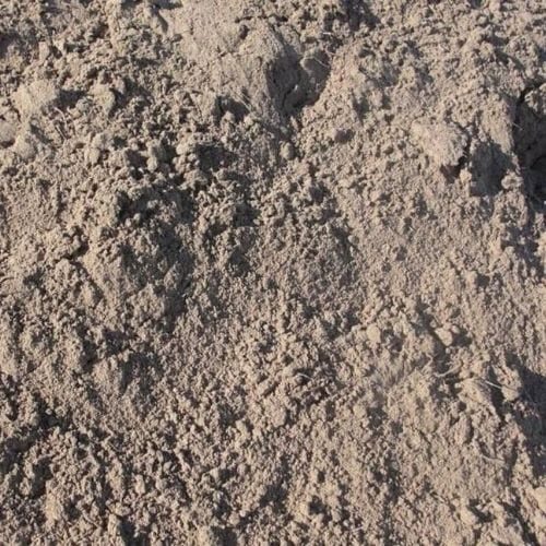 Screened Topsoil